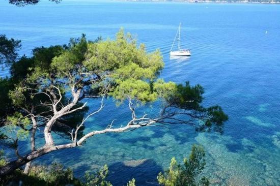 Eco-Lodge Lou Pantai Le Pradet Kültér fotó