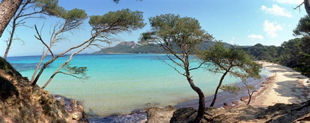 Eco-Lodge Lou Pantai Le Pradet Kültér fotó